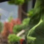 Man spraying weedkiller on weeds